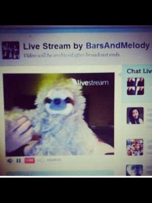 hi im sammy the sloth Charlie lenehans pet sloth go follow him and leo @BarsAndMelody I was given to charlie by @CliffHooDevries 2/4 of alphadpg