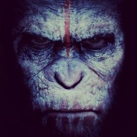 E (@mandukpanduk) Twitter profile photo