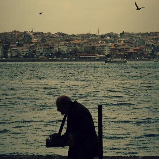 Belkide sadece çok fazla sevmiştim