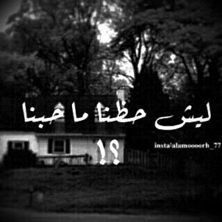 هامش مهمش في وطني ..!