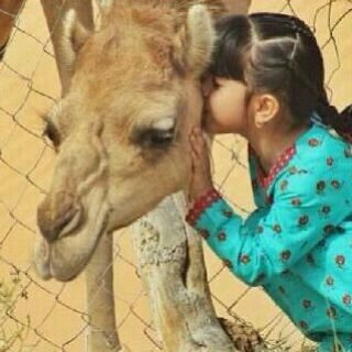 ‏‏اقبل الجميع