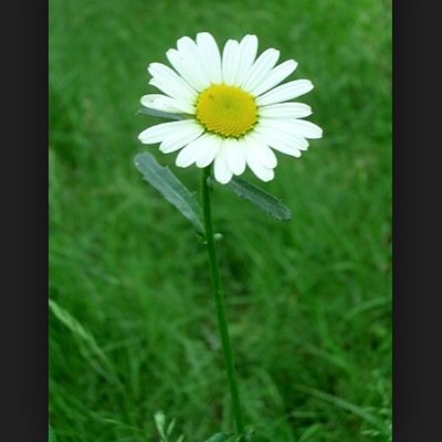 TammyEspar's profile picture. 