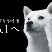 ひろお (@01tiimu) 's Twitter Profile