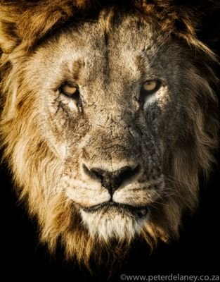 konnet89's profile picture. Живу в России. Показываю жизнь без вранья.