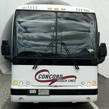 concordcoach Profile Picture