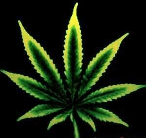 Warning: Anything is #RT 'ed!! Follow at ur own risk! @ me or follow for a #FollowBack