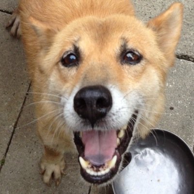 いしかわ 嵐丸さんのプロフィール画像