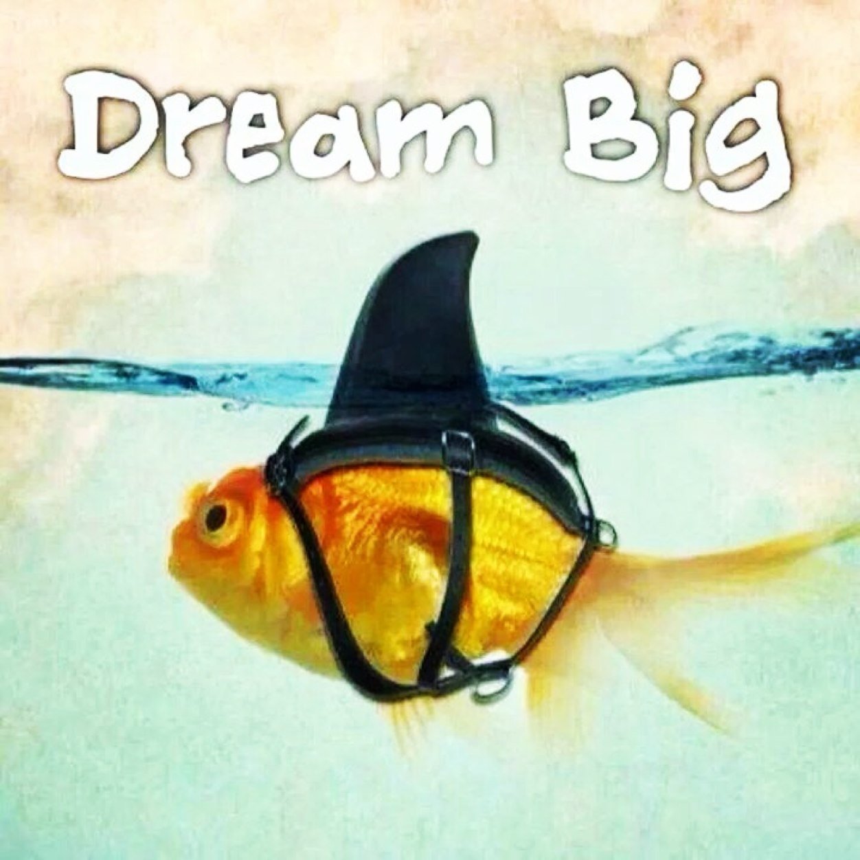 guacoldajg's profile picture. 