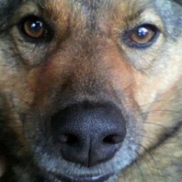 kutohi1999's profile picture. 