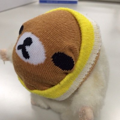 悪魔合体失敗しました。