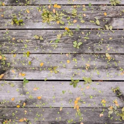 shesakingskid's profile picture. Seeing beauty and grace in the everday in light of being a King's Kid.