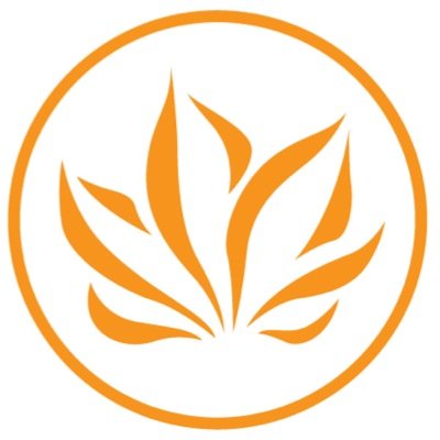 LucayanSkincare's profile picture. Handcrafted artisan soaps and skincare made in the Turks and Caicos Islands.