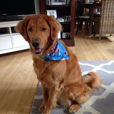 jzrunning's profile picture. 