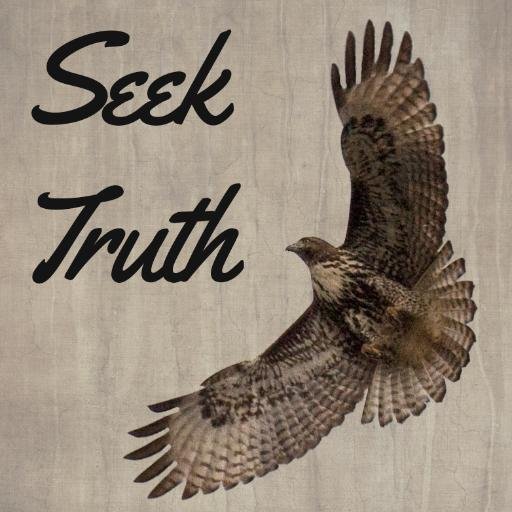 SeeingTheBeauty's profile picture. 