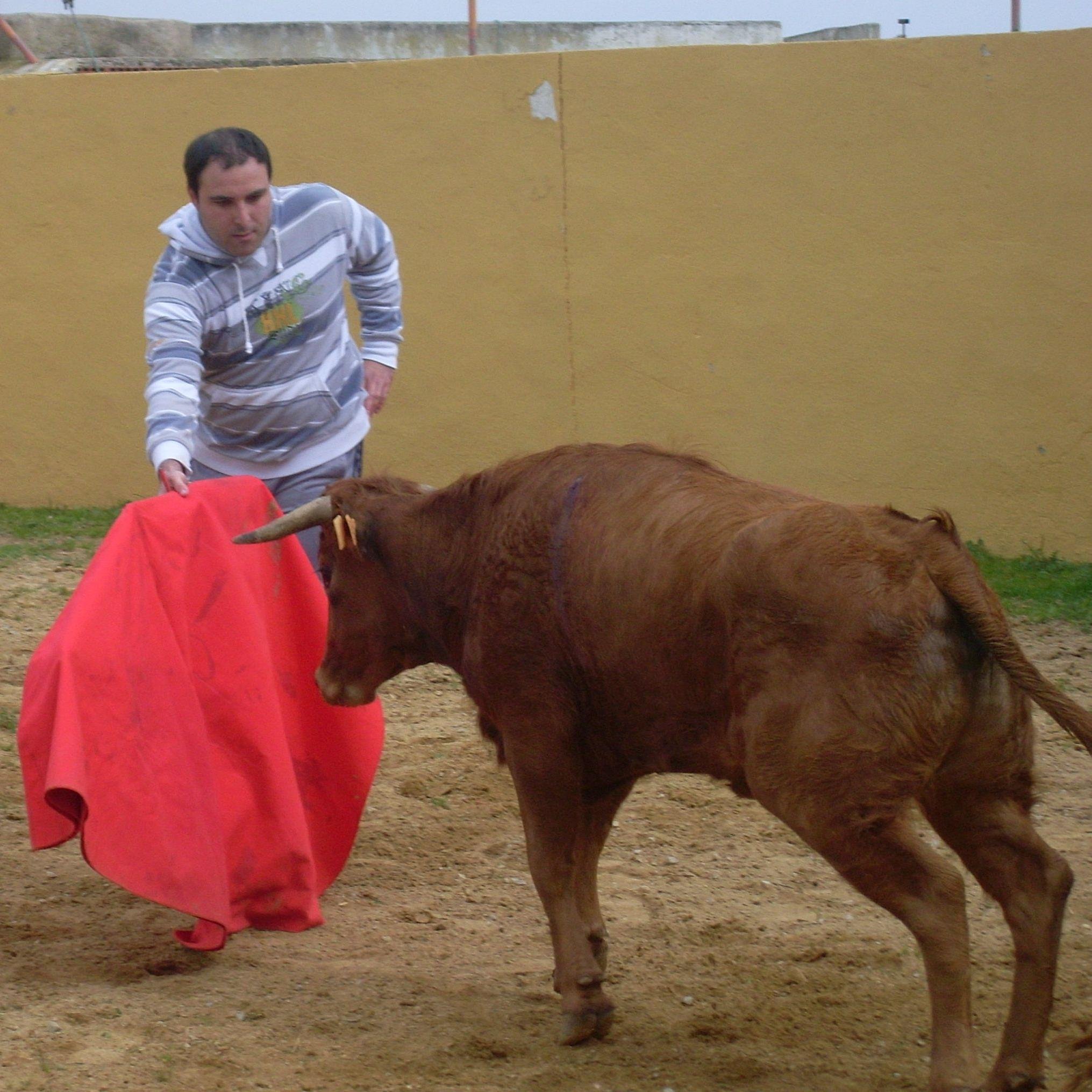 soy aficionado a los toros, me gusta todo lo relacionado con lo taurino,el campo, los caballos, el flamenco y las fiestas y ferias buenas como san fermines,etc.