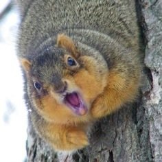 I'm a squirrel and I like itttttttt
Hope your boyfriend don't mind it ;)