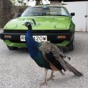 Andy Stott - @andrewastott - Twitter