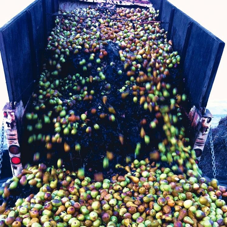 Fresh helps Phx Cities recycle food & green scrap into clean energy & compost. We help create sustainable, local, organic feed loops in Phoenix.