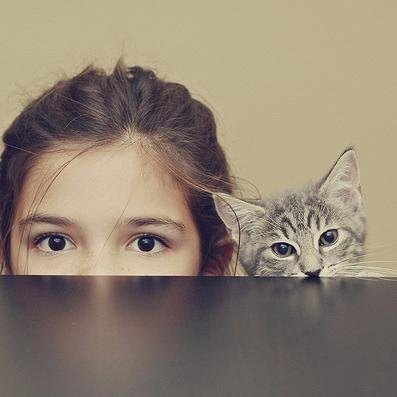 kittcattt_'s profile picture. #Hussaini #Catlover #TEAMFOLLOWBACK