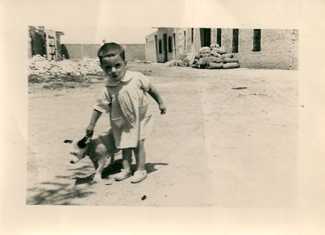 jzamorano2001's profile picture. 