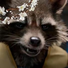 aka the only one with more than twelve percent sense. 
{ sassy parody with a raccoon sized amount of actual rp dotted about the place. #GOTG}