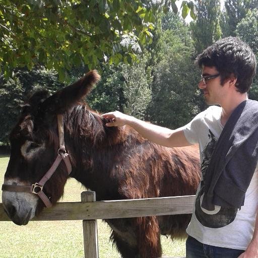 migueldbrito92's profile picture. Student in Erasmus @ TU Wien, final year in Informatics Engineering Master.
I like to tweet nonsense.