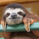 Mara Williamson - @marawilliamson9 - Twitter