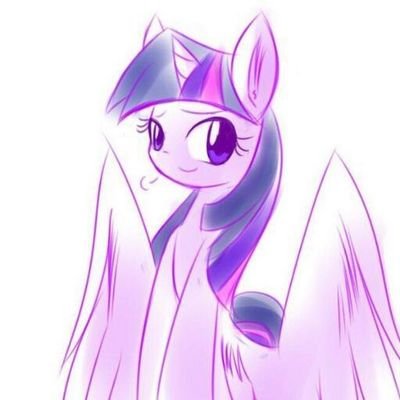 My name is Twilight Sparkle the new Princess around!my brother is Shining Armor!My Bffs are @Mlptrixie_  & @Black__spyro #Single (Human/Pony/rp)