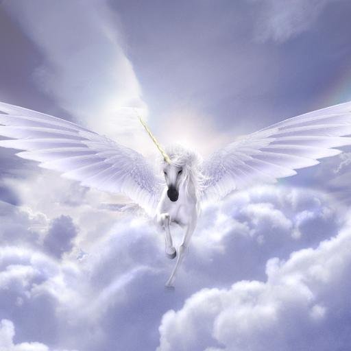 kaulavandanaa's profile picture. #StayHuman | Art of Living Volunteer | Sri Sri Sanskar Kendra Teacher | FinTech Enthusiastic | Blogger | Freelancer | Educator