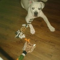 Gerjan (@gerjan72) 's Twitter Profile