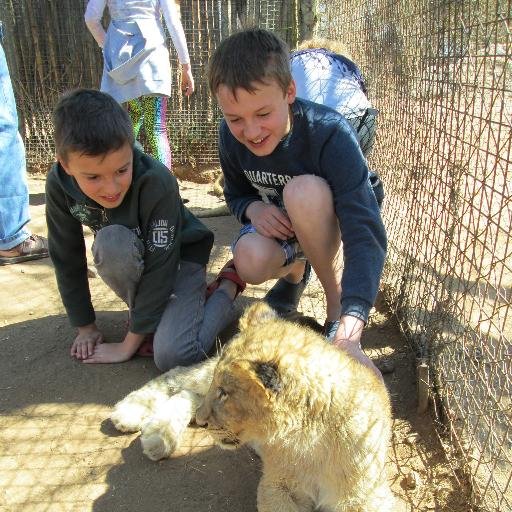 4_ever_Tom's profile picture. 