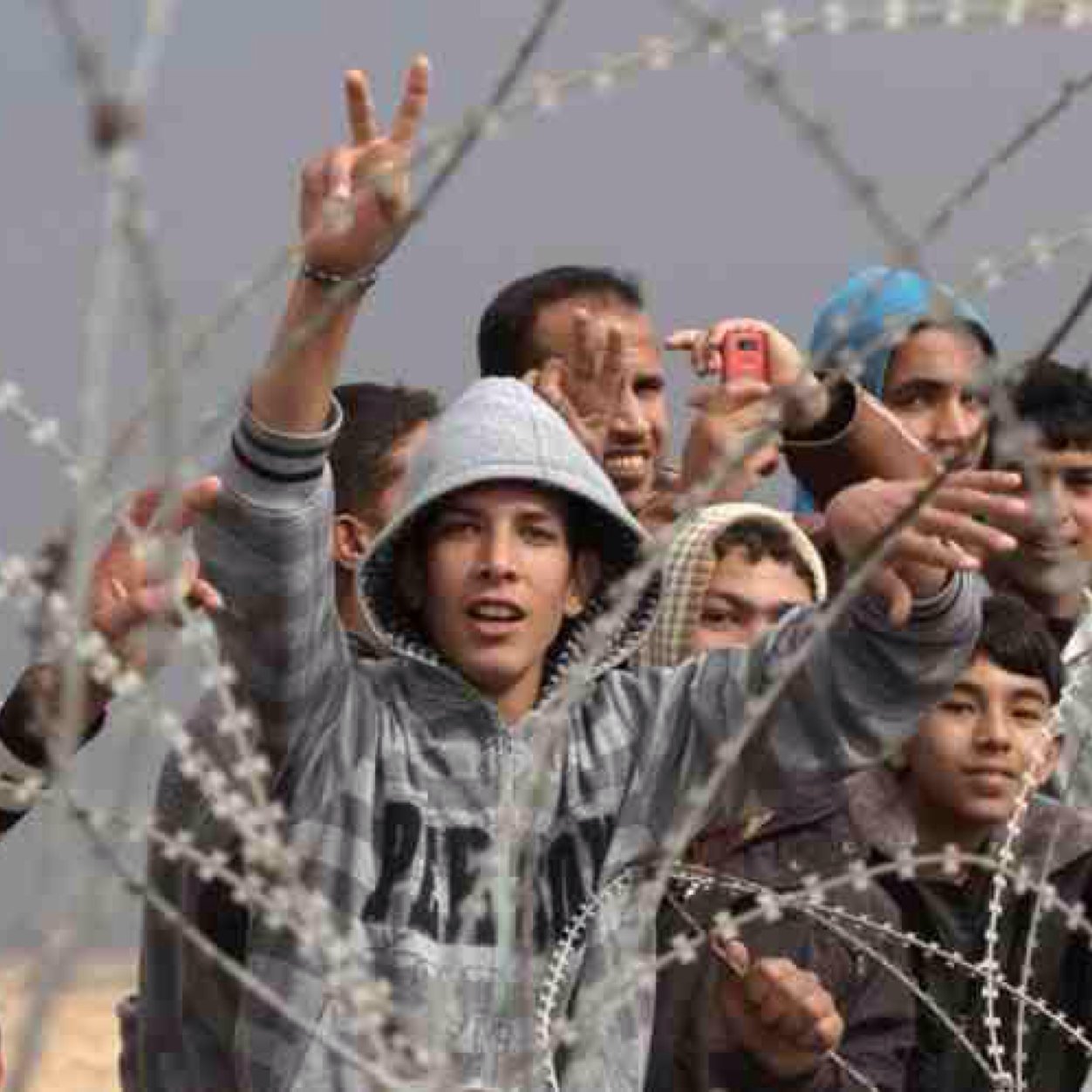 palestinianwar's profile picture. 