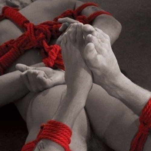 Cano28Eduardo's profile picture. 