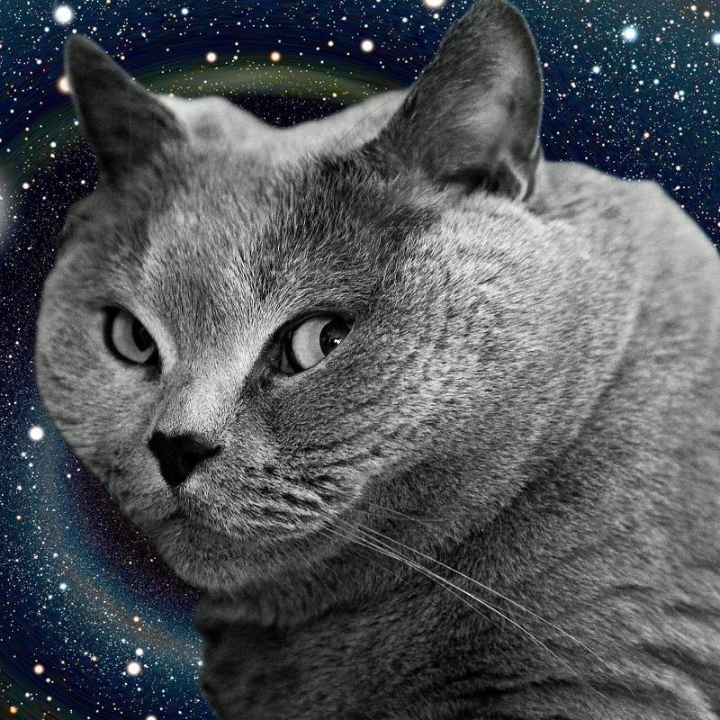 hiwiragci_nmgud's profile picture. 