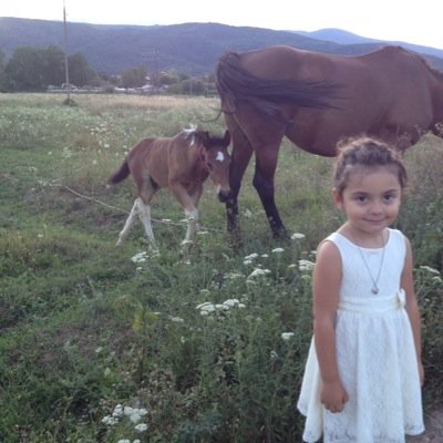 ajhanemroski's profile picture. 