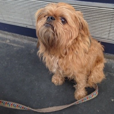 BeckyLasky's profile picture. 