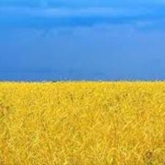 ПРОВЕРЕНО ВРЕМЕНЕМ  -  ЗАХОДИТЕ :)