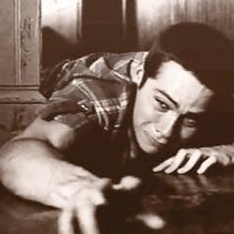 TommyShotNewt's profile picture. @theoscake