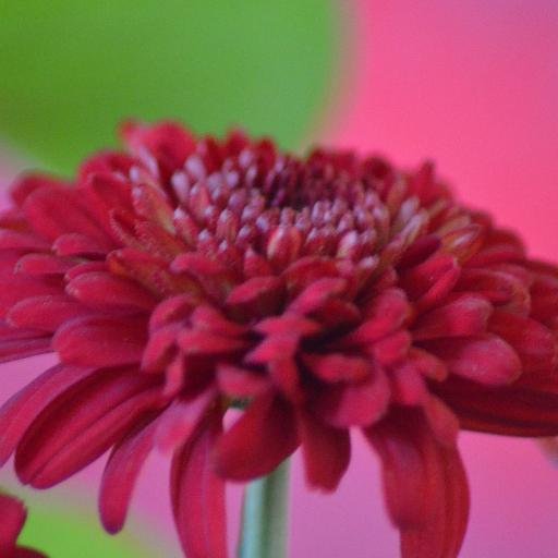 bayan_m0ohd's profile picture. 