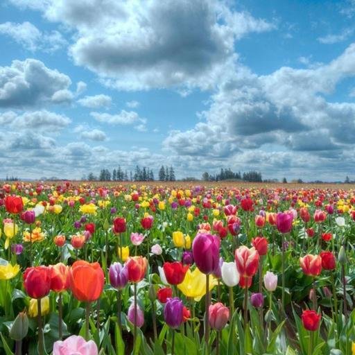 Hep Bana, Hep Bana Değil.. HEM BANA HEM SANA.... RENKLER ve SESLERİN UYUMU ile NE GÜZEL YARATILMIŞ  DÜNYA..Barışın sırrı İyi-Güzel olanı Paylaşmayı Bilmektedir.