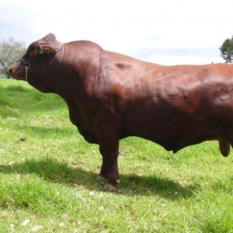 DIEGOSAN_35's profile picture. M.V, A.T. Sistemas de info, GEEK en formacion, Emprendedor, Adicto a SM No es la muerte a lo q un hombre debe temer, sino debe temer a nunca comenzar a vivir