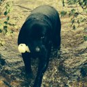 Fraser Hampton - @_frayfish_ - Twitter