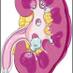 endourology (@endourology) Twitter profile photo endourology (@endourology) Twitter profile photo