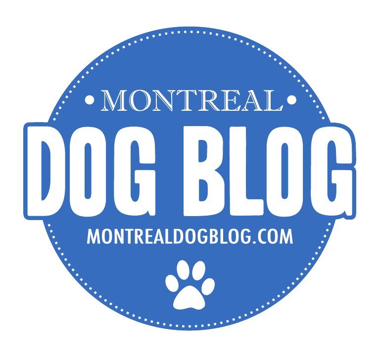 A team of bloggers for Montreal pets and their people  since 2010. Woof!