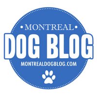 Montreal Dog Blog (@montrealdogblog) 's Twitter Profile Photo