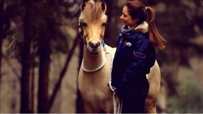 Be with horses and forget everything! Follow us for nice pics and facts ✯