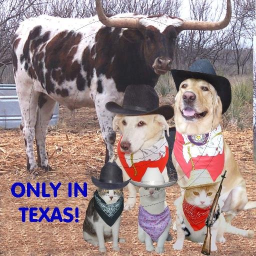 Christian.  Taught biology in my 20s. Returned to school.  Worked for major oil companies for about 25 yrs. Now retired.  Love animals and funny pet photos.