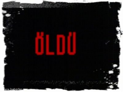 Gerayl1's profile picture. Azerbaycan