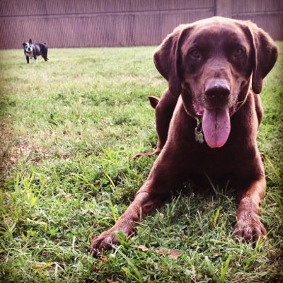 LostConsultant's profile picture. https://t.co/KhecwliA7n