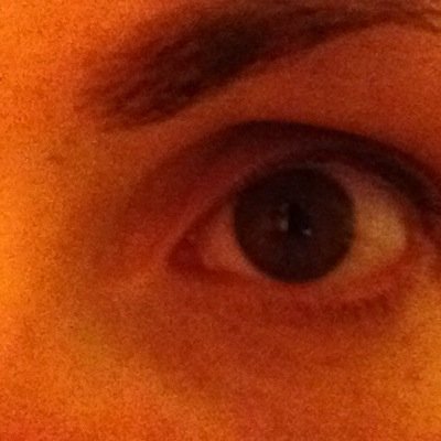 lywylie's profile picture. 